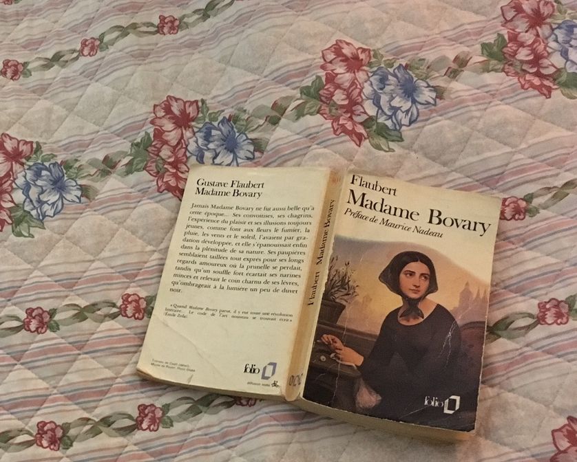 Madame Bovary livre