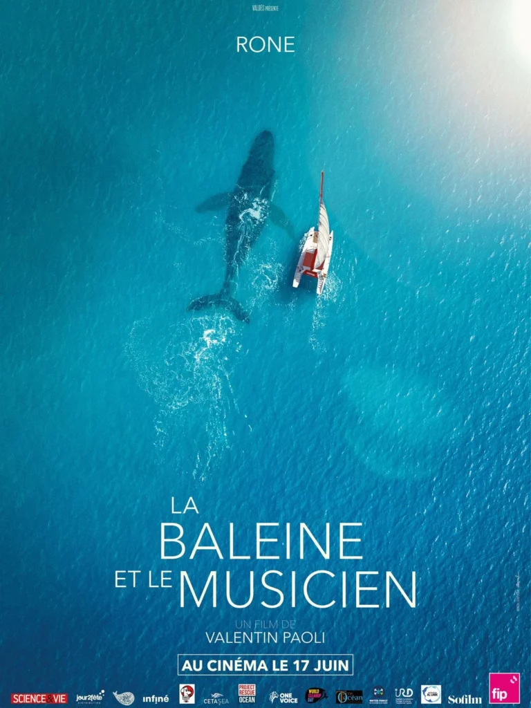 La baleine et le musicien : une aventure extraordinaire signée Rone !